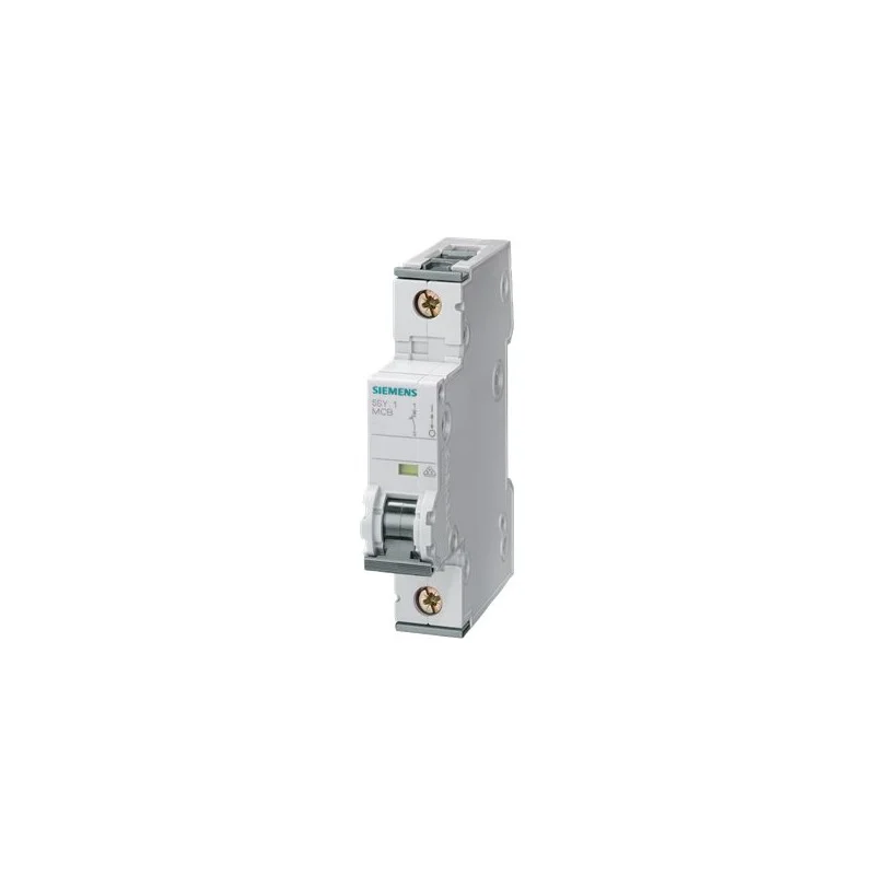 Siemens 5SY4101-6