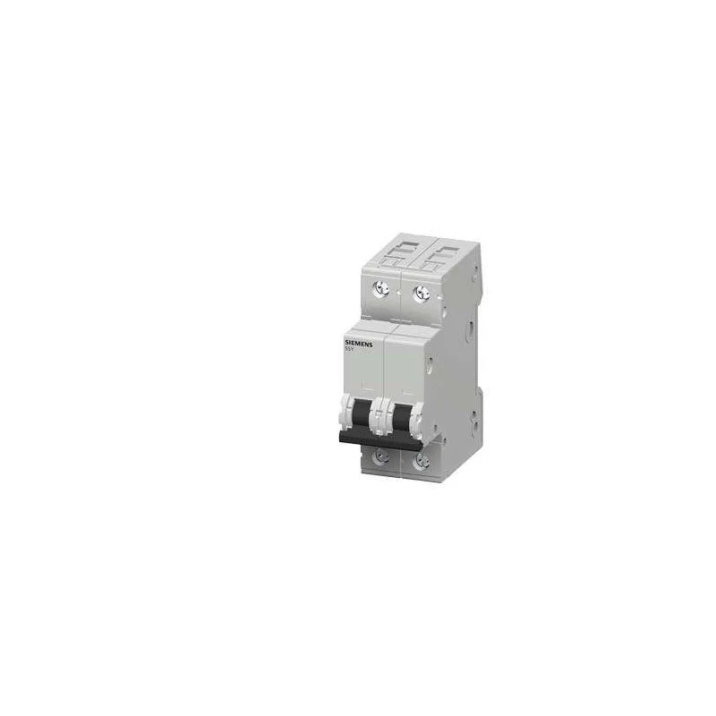 Siemens 5SY4202-7