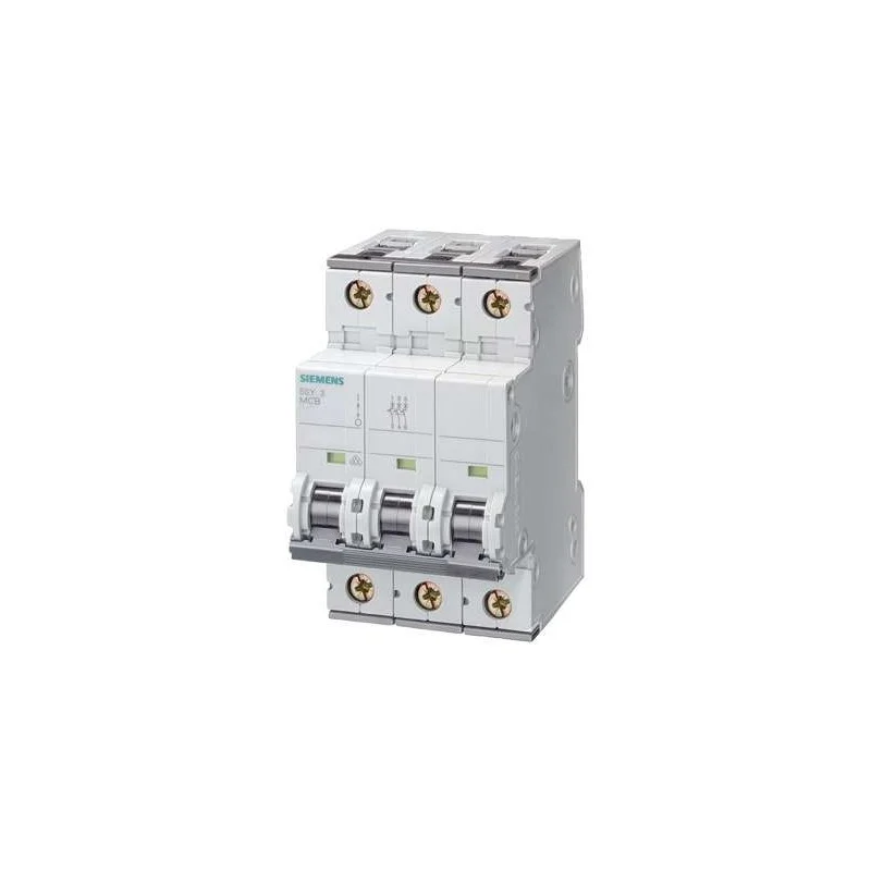 Siemens 5SY6310-7