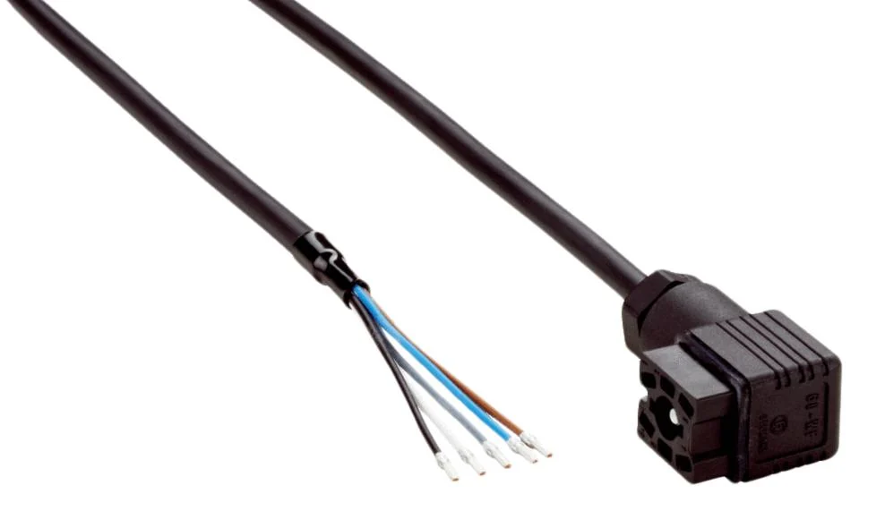Sick 6030217 – DOL-1306-W02M