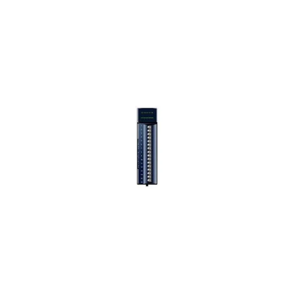 GE Fanuc IC694ACC310