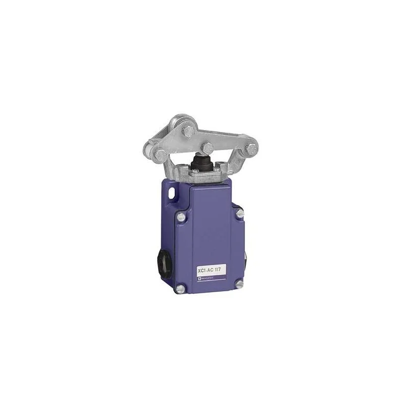 Schneider Electric XC1AC117