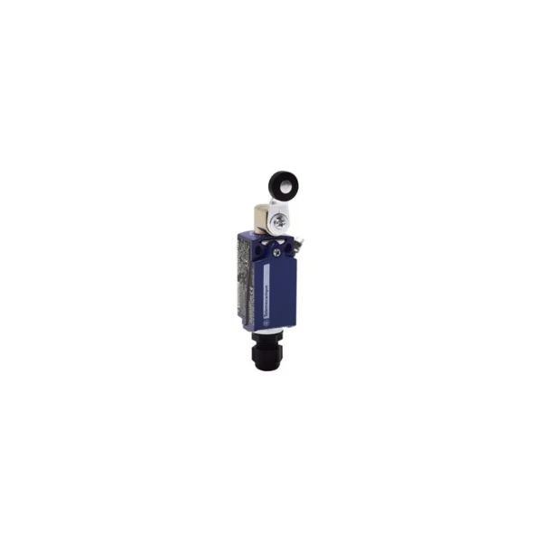 Schneider Electric XCKD3918P16EX