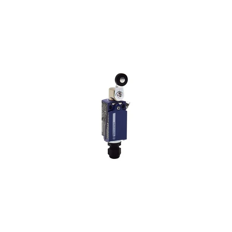 Schneider Electric XCKD3918P16EX