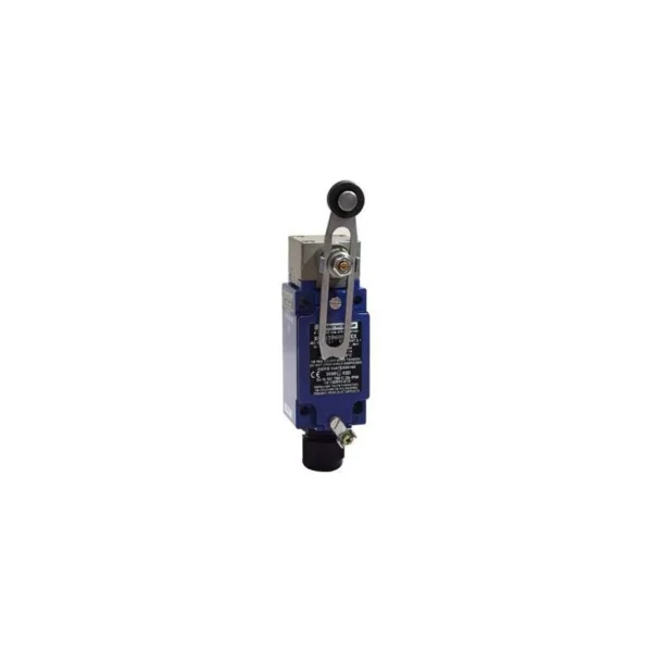 Schneider Electric XCKJ390541H29EX