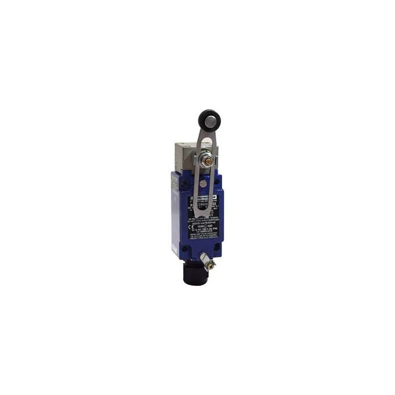Schneider Electric XCKJ390541H29EX