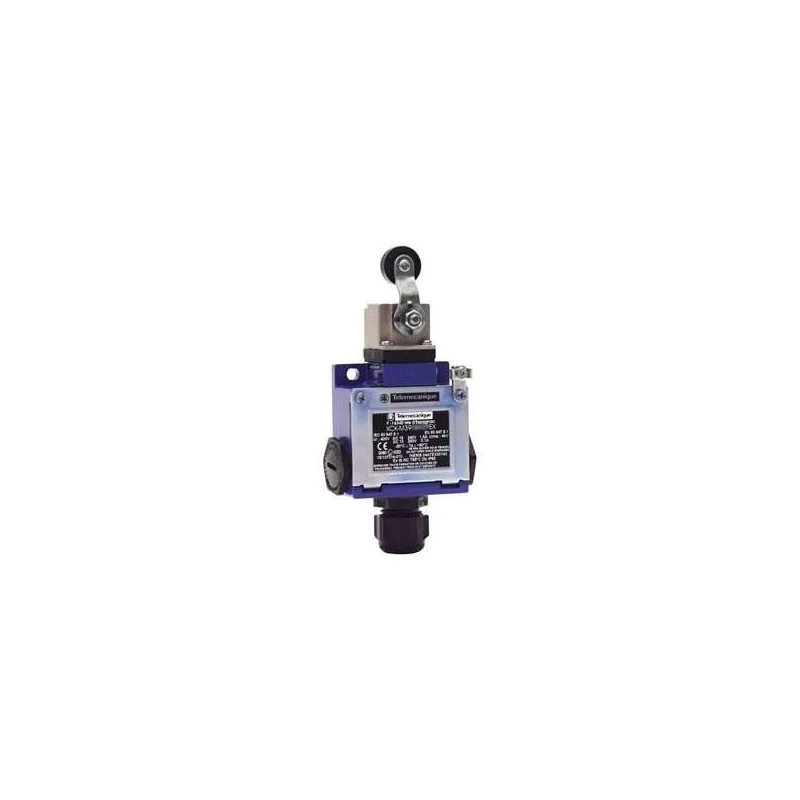 Schneider Electric XCKM3915H29EX