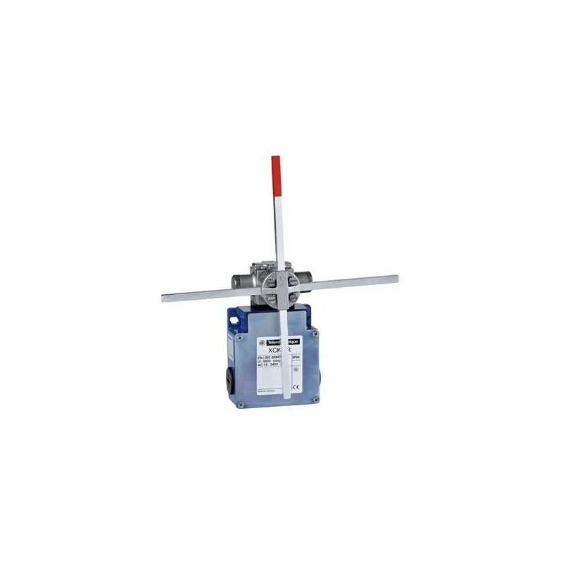 Schneider Electric XCKMR44D1H29