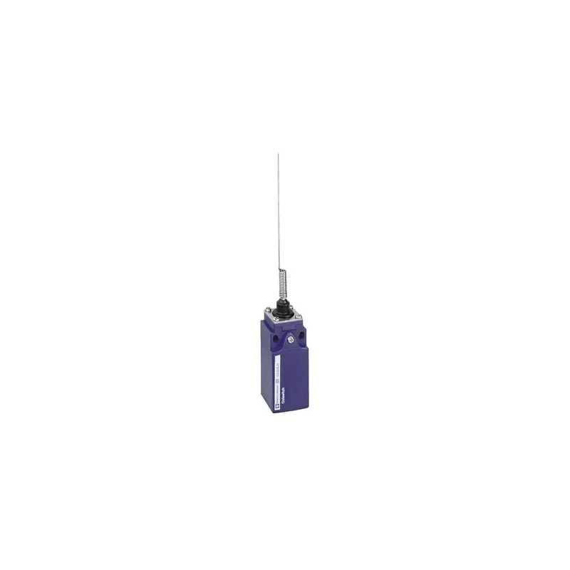 Schneider Electric XCKN2106G11