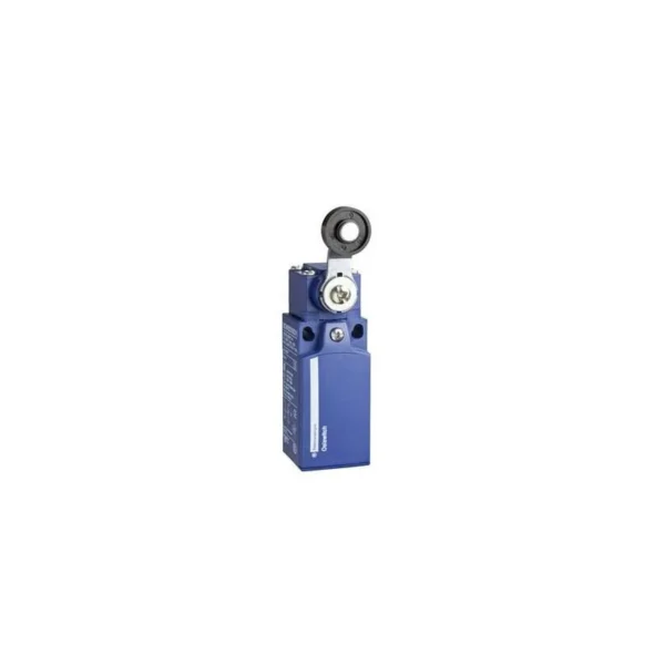 Schneider Electric XCKN2118G11
