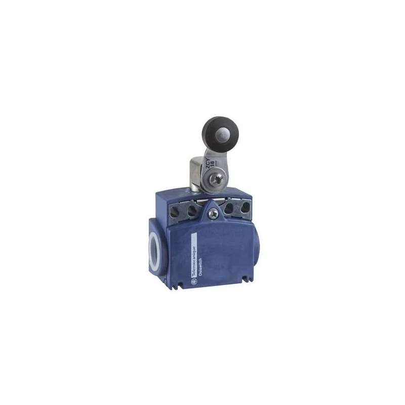 Schneider Electric XCKT2118G11