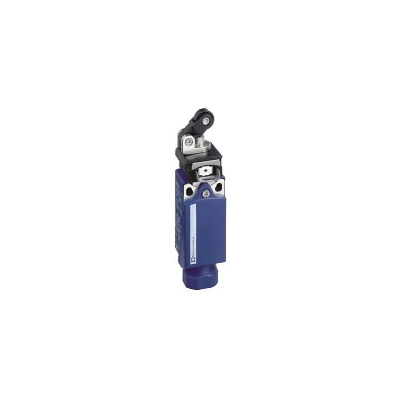 Schneider Electric XCPR2121G13