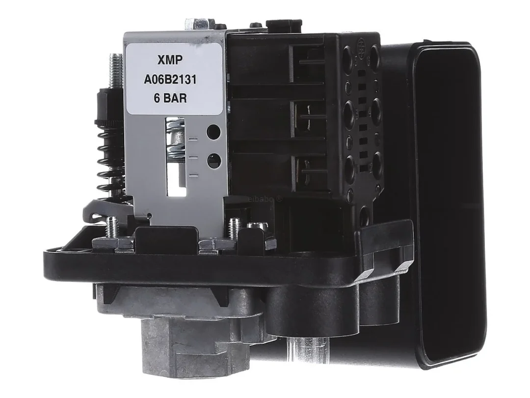 Schneider Electric XMPA06B2131