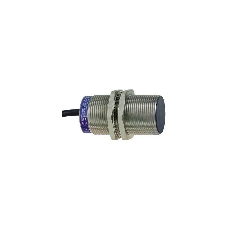 Schneider Electric XS1M30MA250