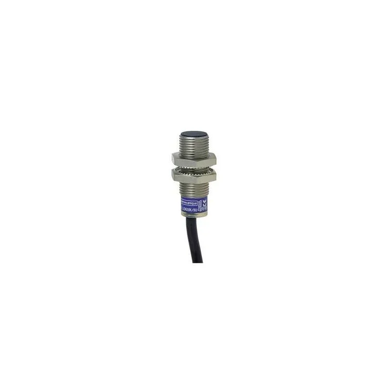 Schneider Electric XS1N12PA349