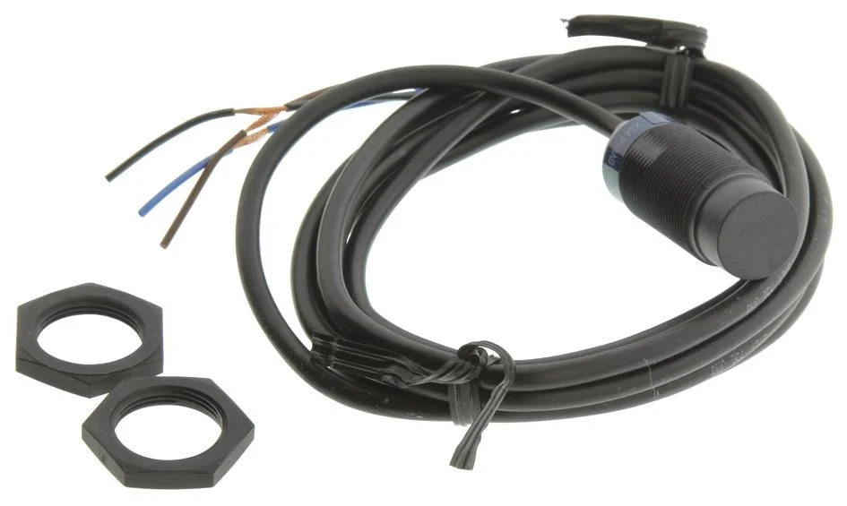 Schneider Electric XS4P18AB110