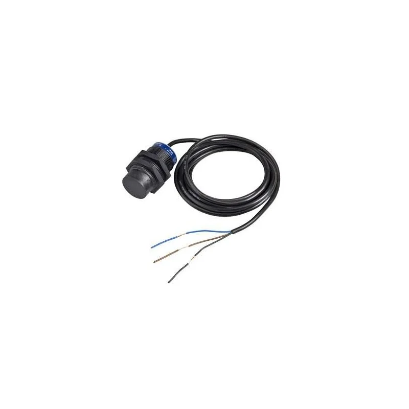 Schneider Electric XS4P30AB120