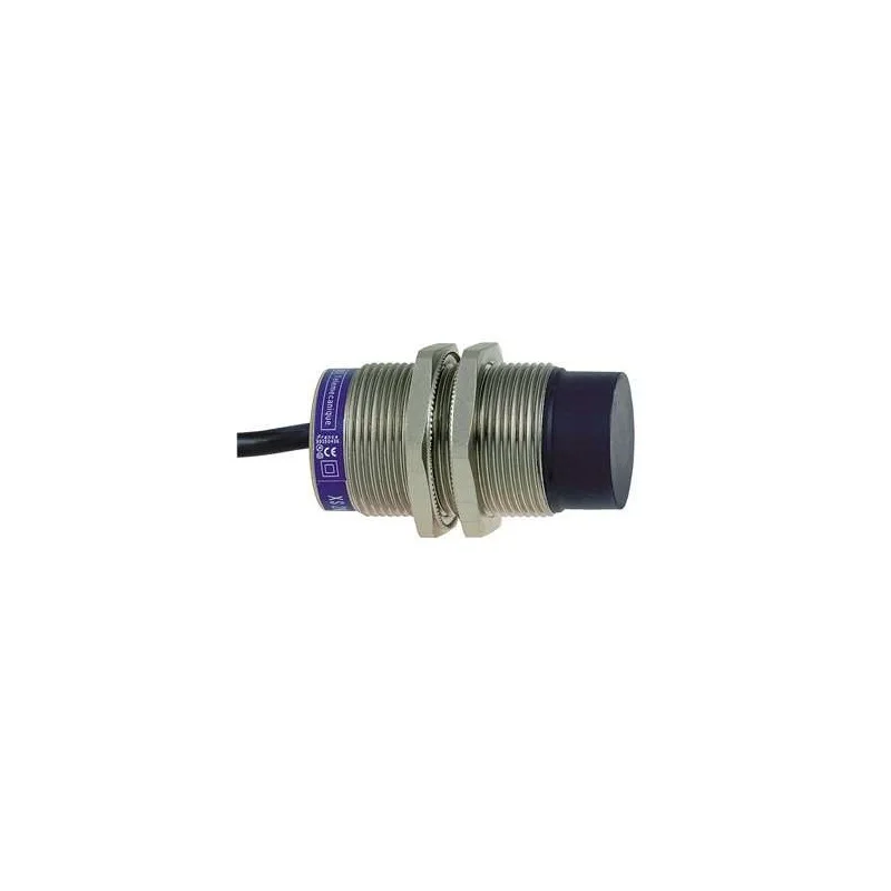 Schneider Electric XS630B4PAL2