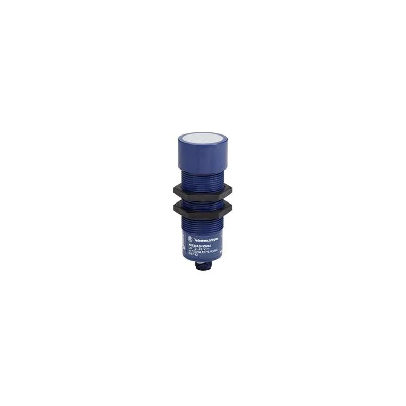 Schneider Electric XX630A1PCM12